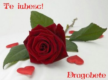 ENTER HERE ALLLLLLLL Te_iubesc_dragobete